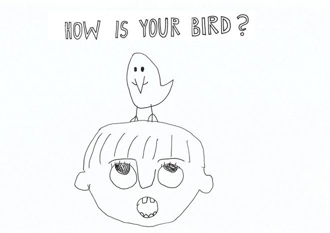 How is your bird?